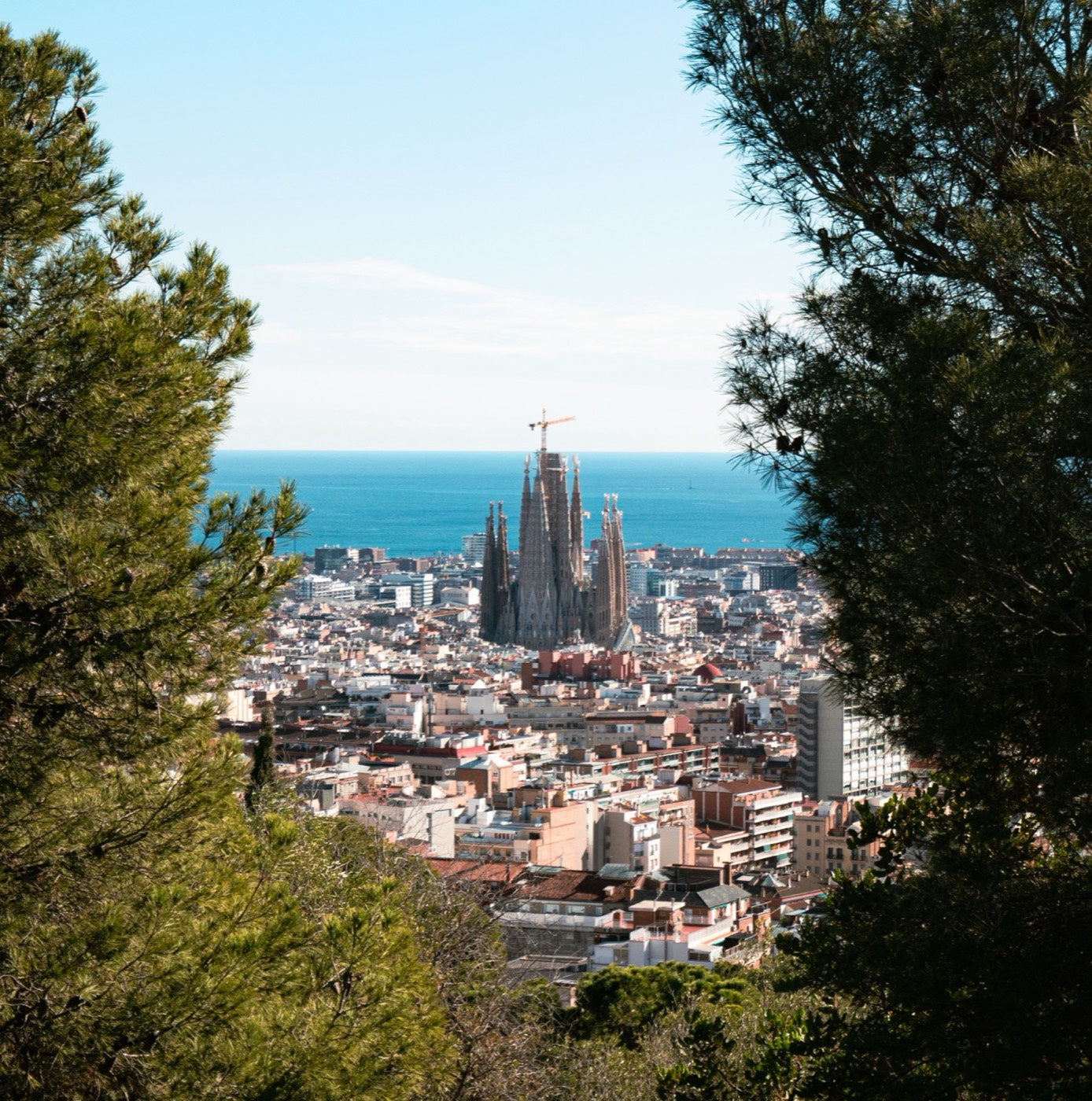 Barcelone et la Sagrada Família vues des hauteurs