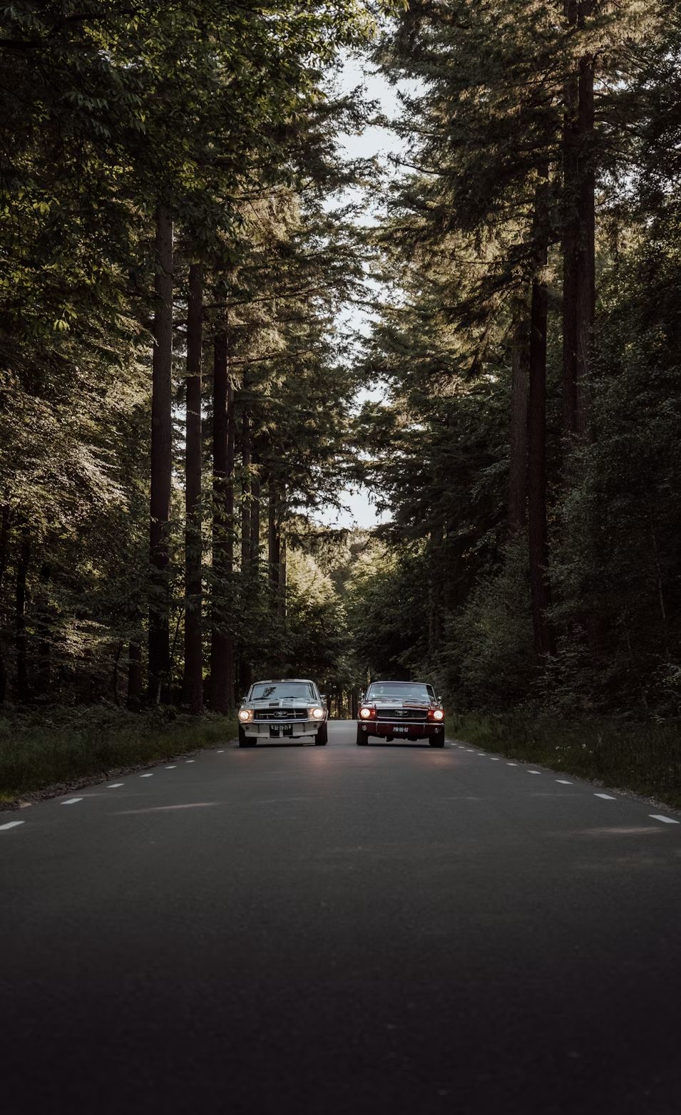 Two classic cars driving together on a country road