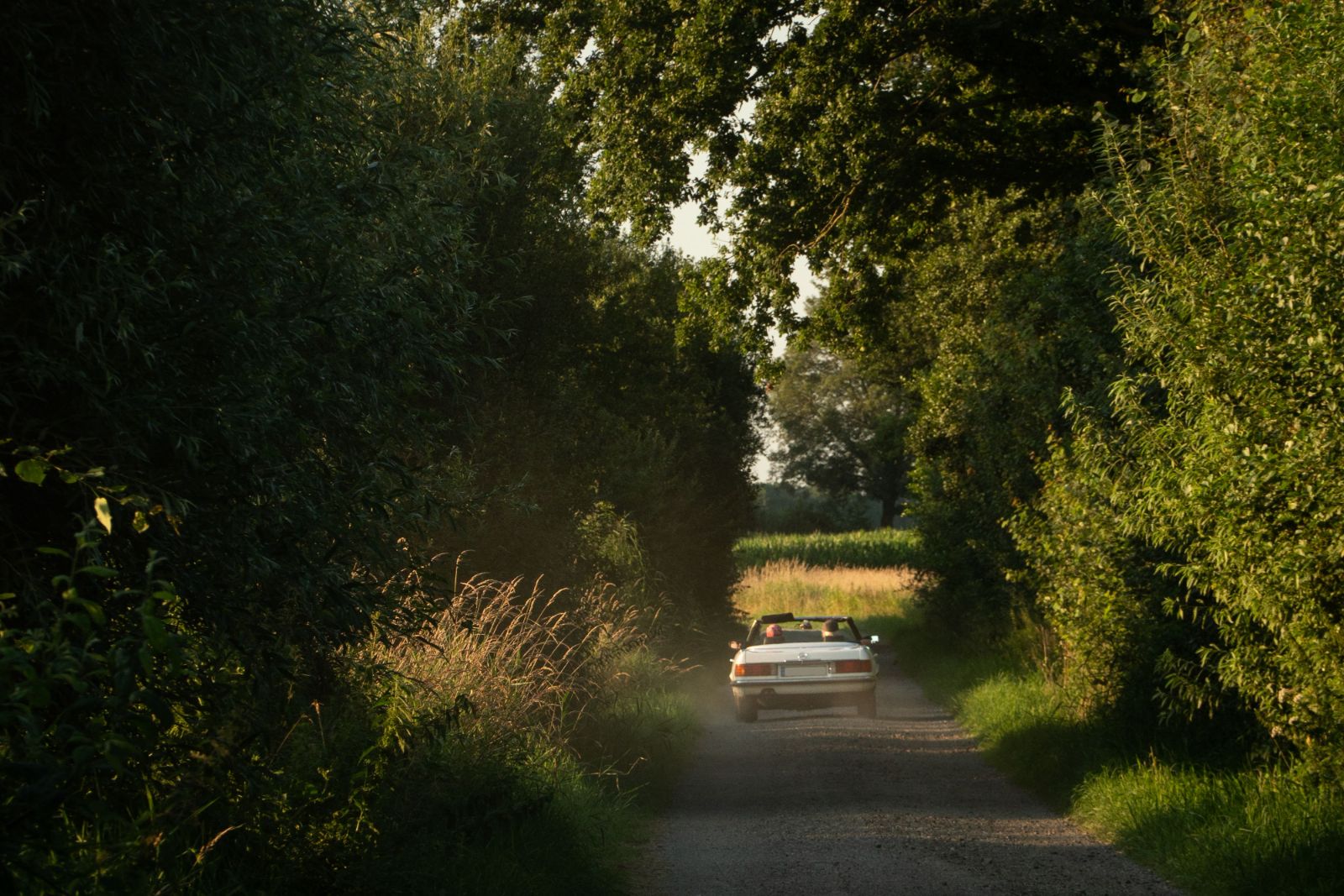 Guided road trip