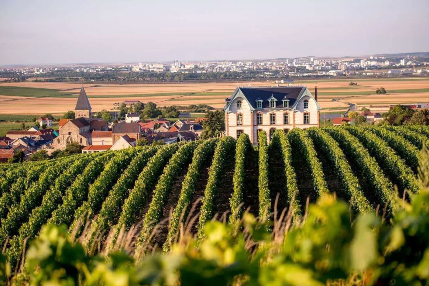Champagne vineyards and a village in the heart of the Côte des Bar