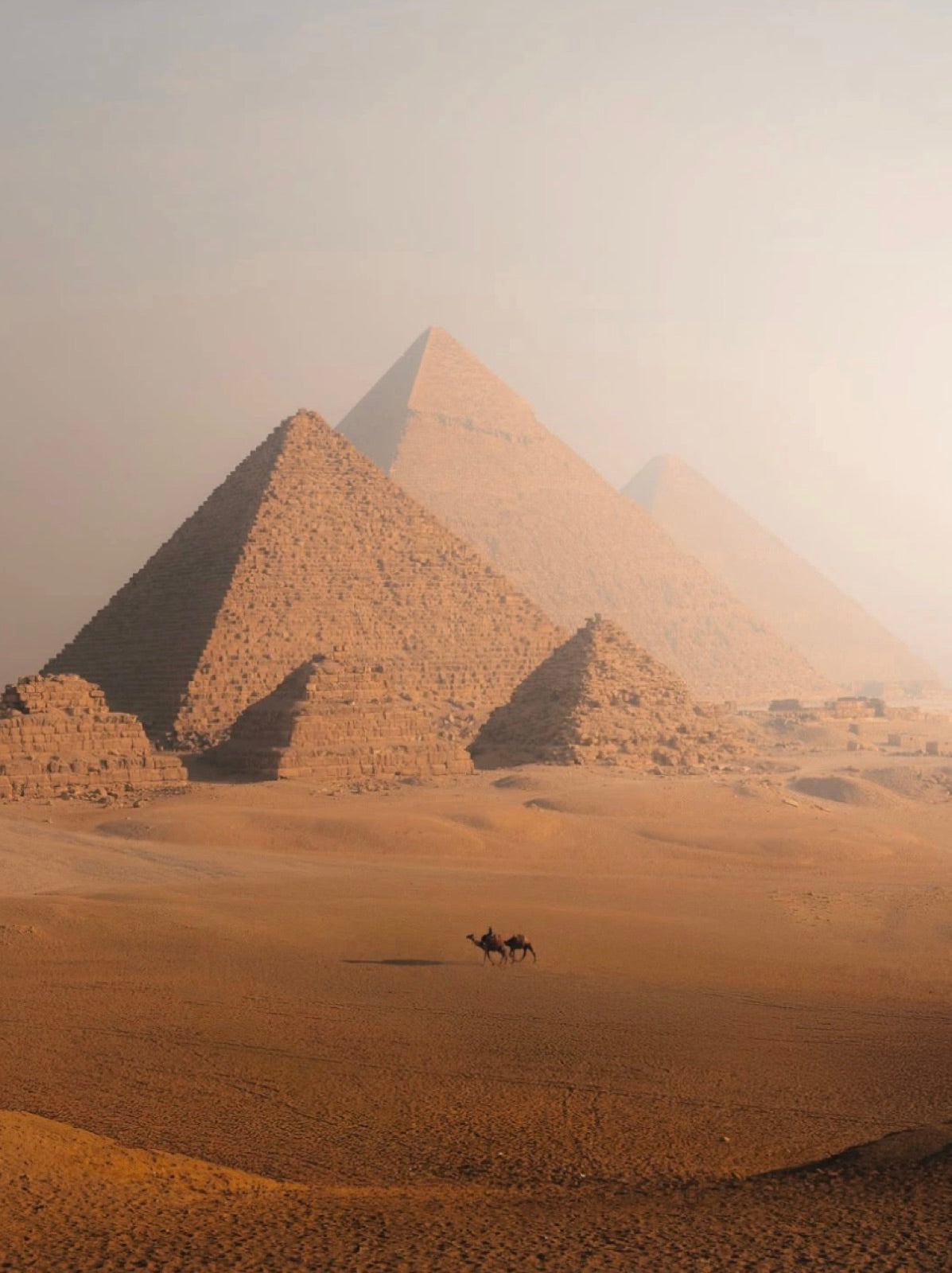 Le plateau de Gizeh dans la brume du matin