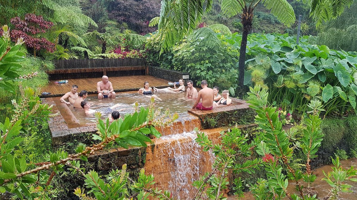 Un bassin d’eau thermale au milieu de la végétation