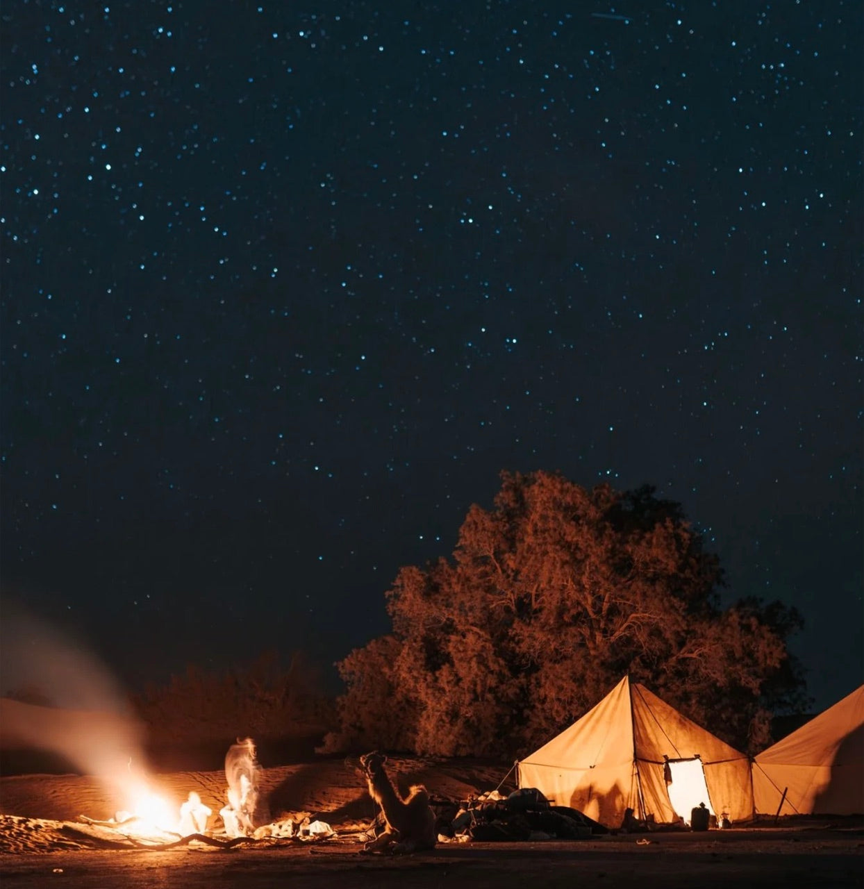Bivouac sous les étoiles