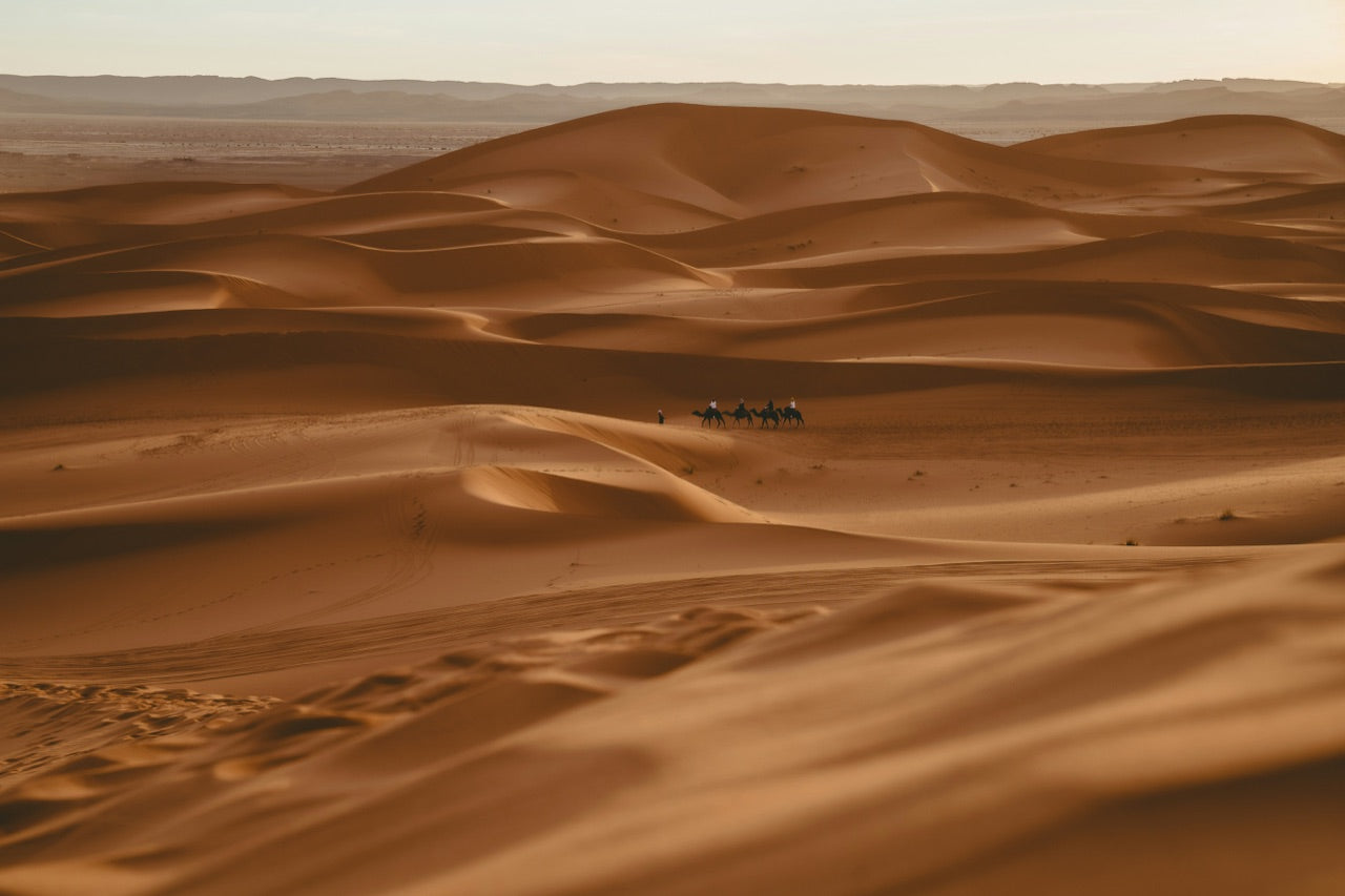 Au rythme de la caravane