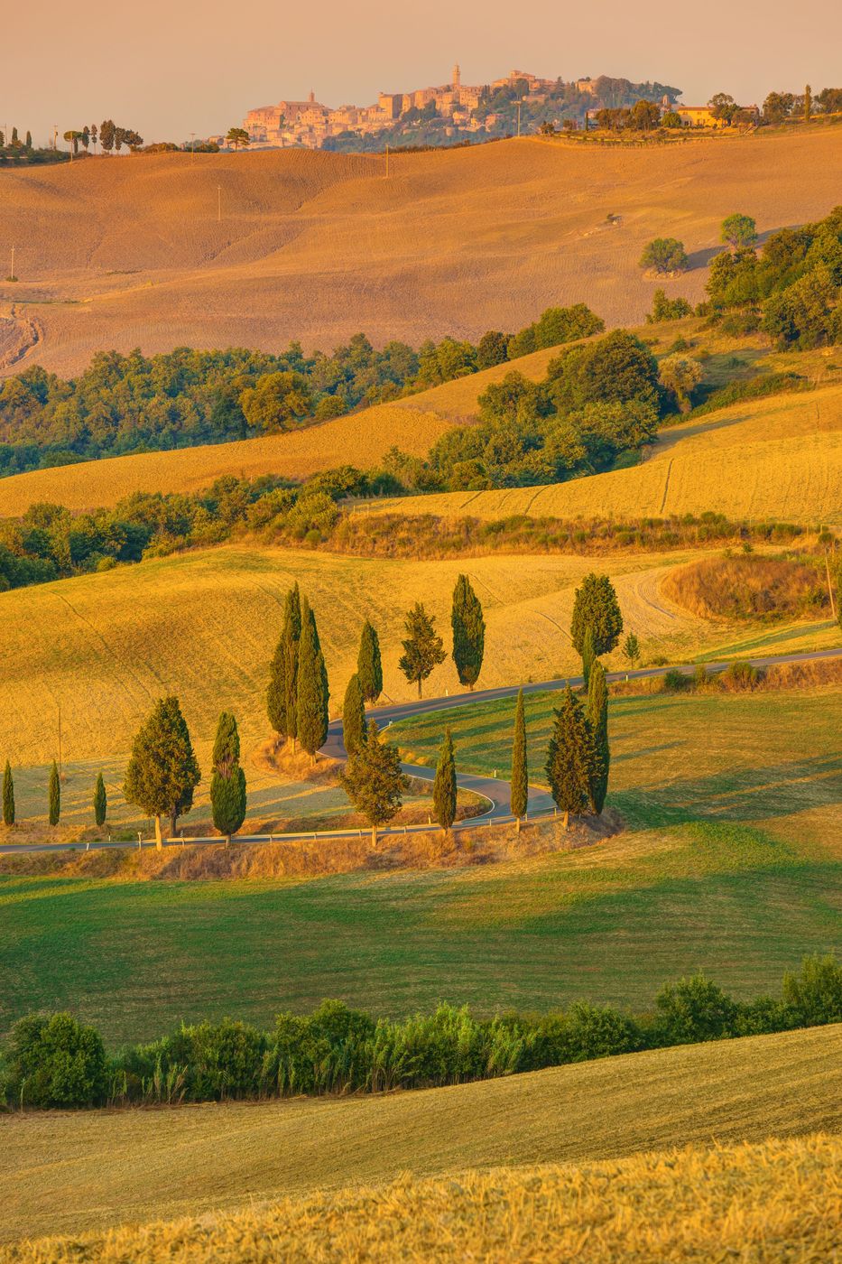 Pienza perchée au-dessus des collines dorées du Val d'Orcia et d'une route bordée de cyprès