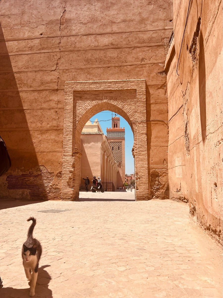 Les remparts de Marrakech et un minaret